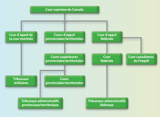 court outline FRE
